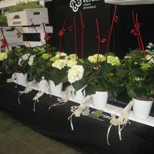 Decoración floral de boda realizada por la floristería de Vigo