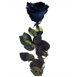 Detalle de regalo con flores preparado en la floristería de Vigo