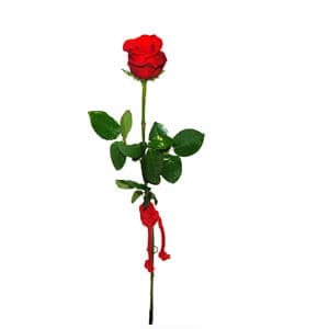 Detalle de regalo con flores preparado en la floristería de Vigo