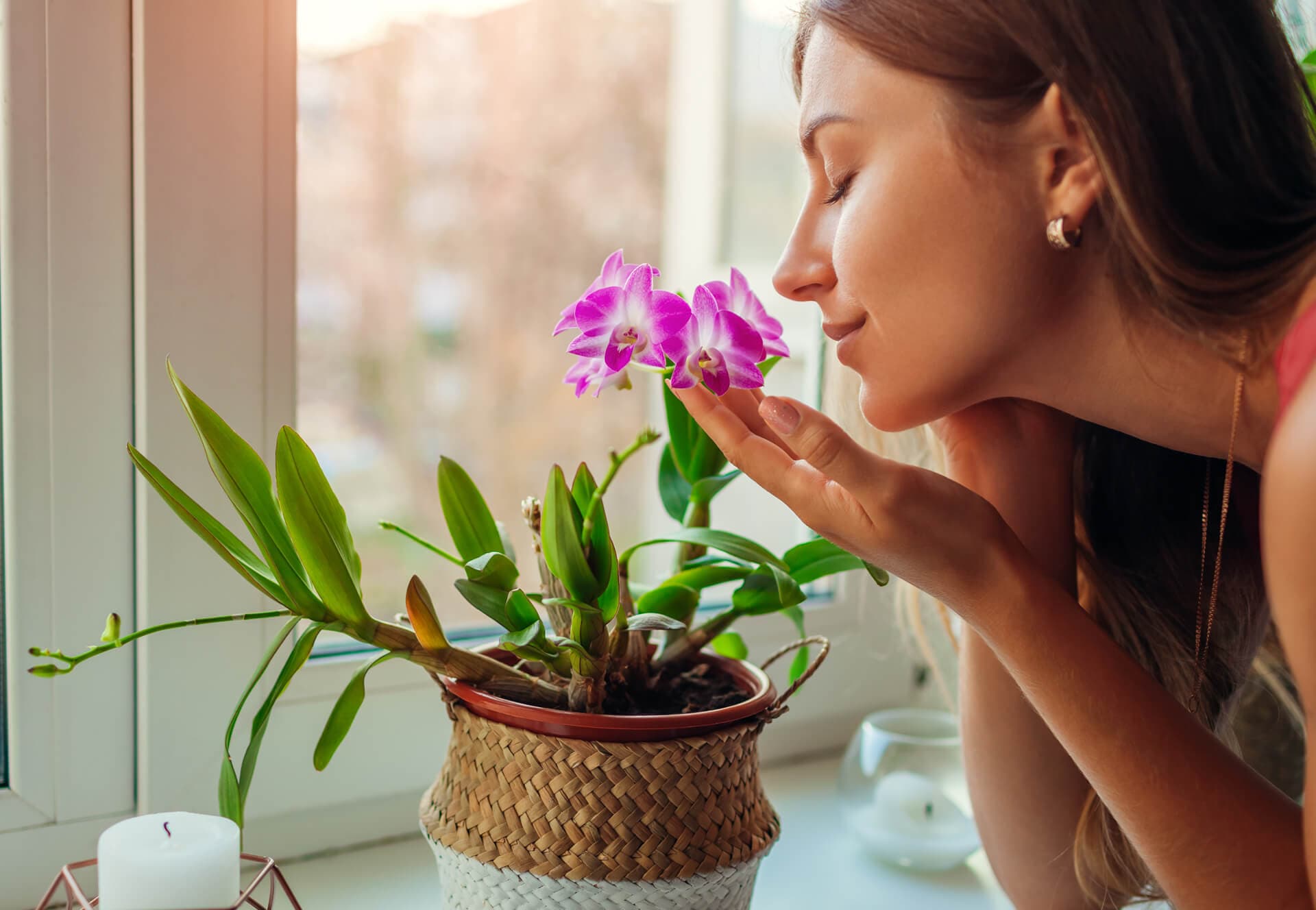 Plantas de distintas especies expuestas en la floristería de Vigo
