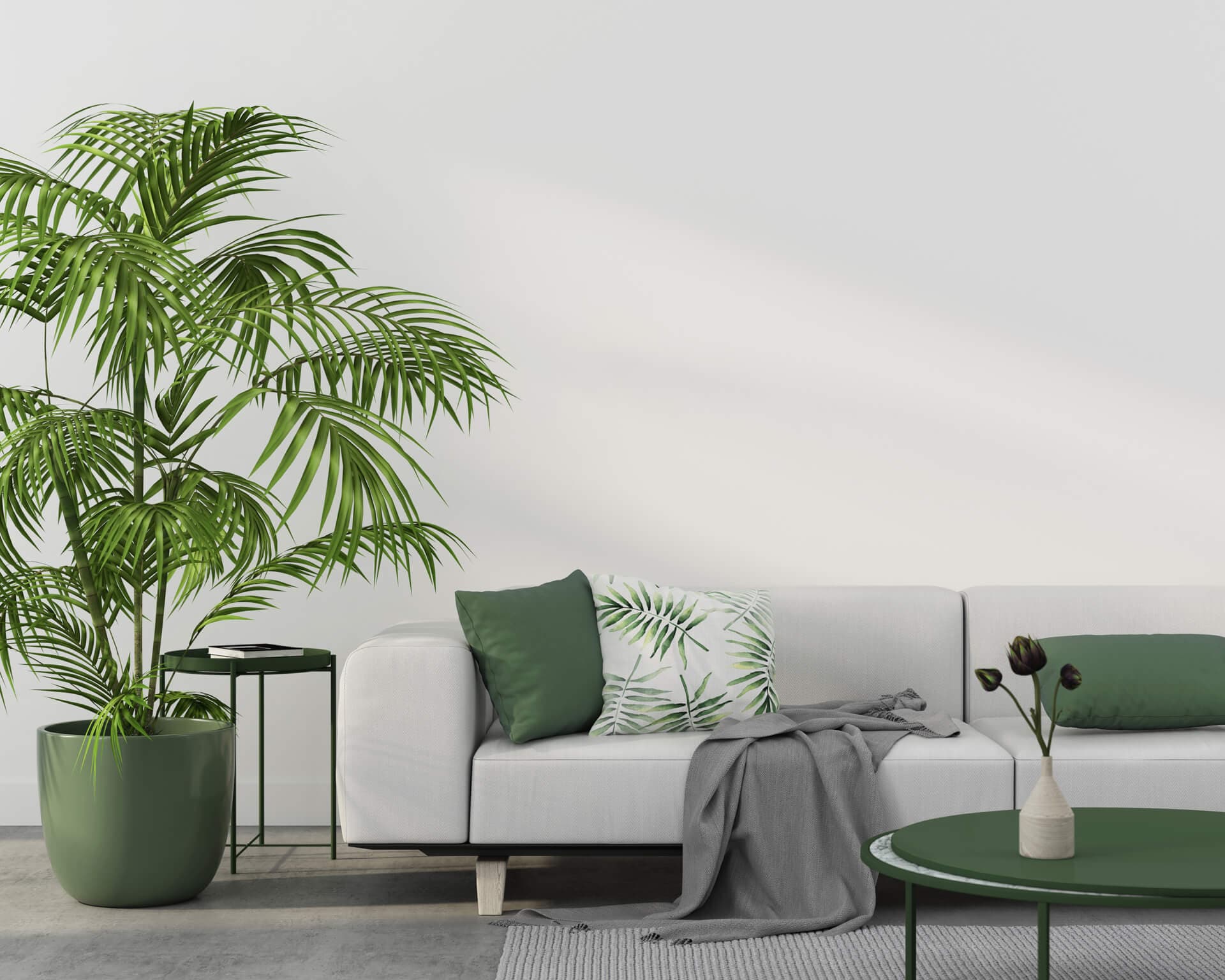 Plantas de interior decorando una vivienda en Vigo